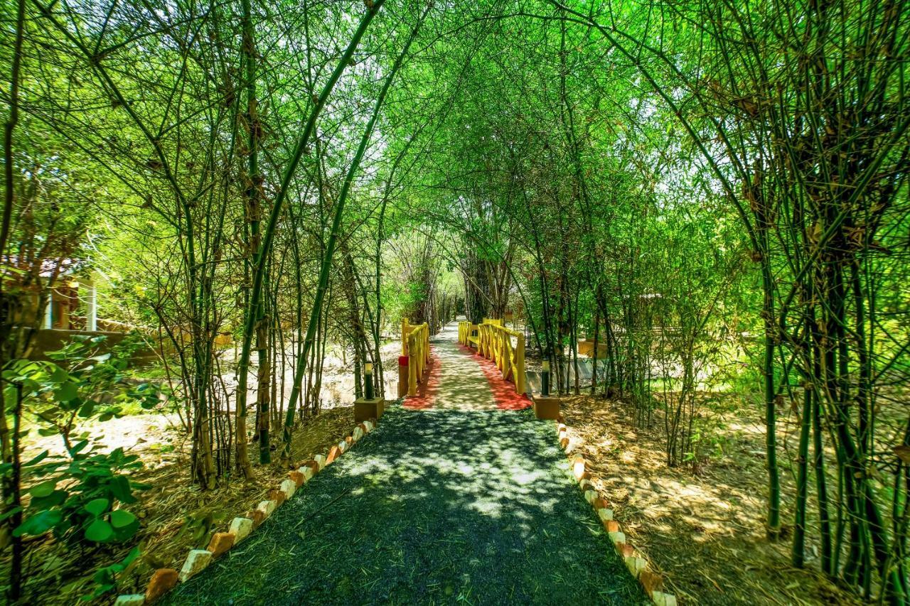 Lemon Tree Wildlife Resort, Bandhavgarh Tāla Zewnętrze zdjęcie